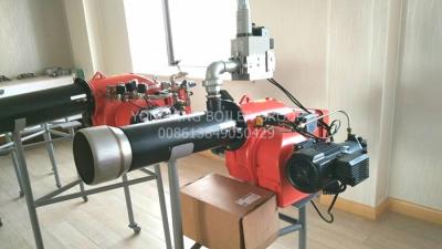 Os queimadores duplos da fornalha de gás do combustível do queimador de petróleo e gás das caldeiras de vapor fáceis operam 500kw