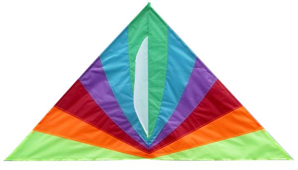 Customized Color Nylon Kites , Kids Playing Kite 264*132cm 2-5bft Swing Range