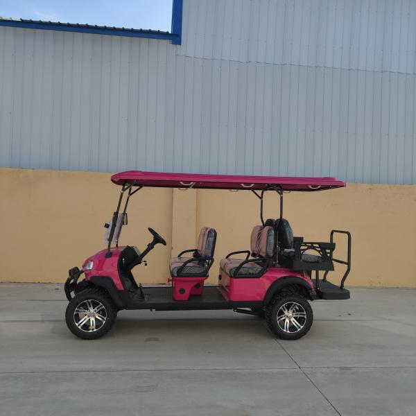 Carrinho de golfe elétrico rosa de 6 lugares 2024 Novo design fábrica venda direta bateria de chumbo ácido