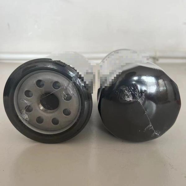 Engineering Machinery Parts RanyouZx250 4616545 4616544 Fuel Filter for Performance