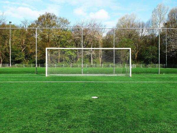14000 Dtex Artificial Turf Grass Roll 20mm Pile Height Odorless
