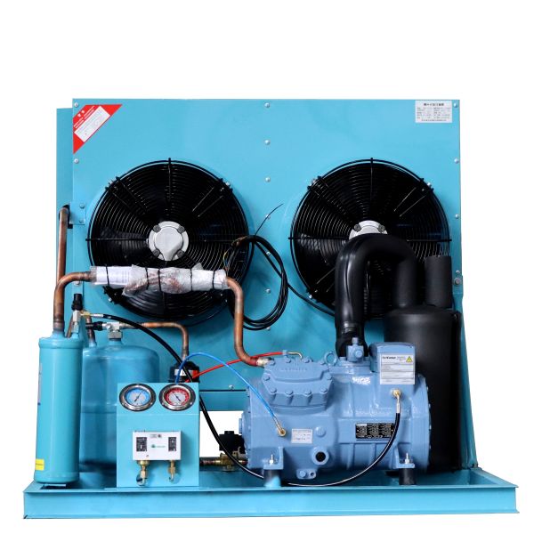 Easy Maintenance Automatic Scroll Compressor Low Temperature Condensing Unit with Motor for Commercial Freezers (-25C 15C)