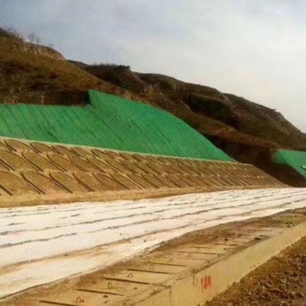 Heavy Duty Geonet for Coastal Protection Embankment Reinforcement and Wave Impact Resistance
