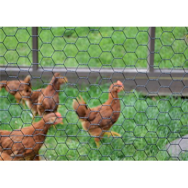 Высокопрочное сваренное шестиугольное плетение провода, ПВК покрыло зеленую ячеистую сеть мелкоячеистой сетки