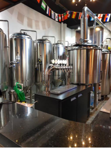 Домашнее пивоварное оборудование с 60-градусным резервуаром для ферментации конуса от GSTA Outlet