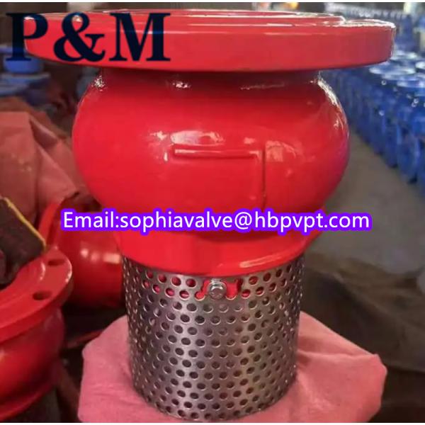 dn100 pn16 GGG50 foot valve stainless steel screen