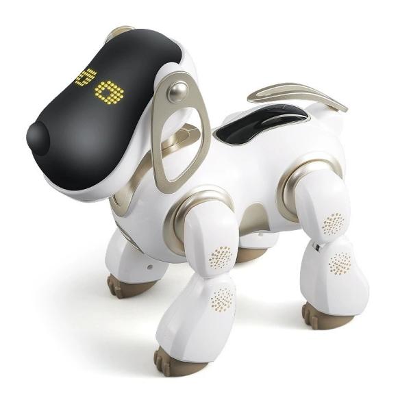 Alta tecnología Interactivo Danza AI Robot Companion Portable STEM Aprendizaje Recargable
