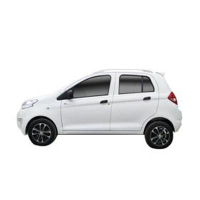 Raysince hot sales model new energy electric car 5 door 4 Seat electric saloon cars from china