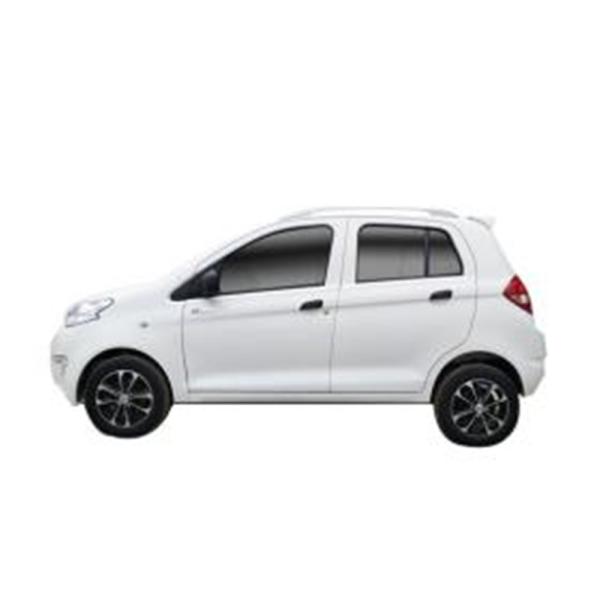 Raysince hot sales model new energy electric car 5 door 4 Seat electric saloon cars from china