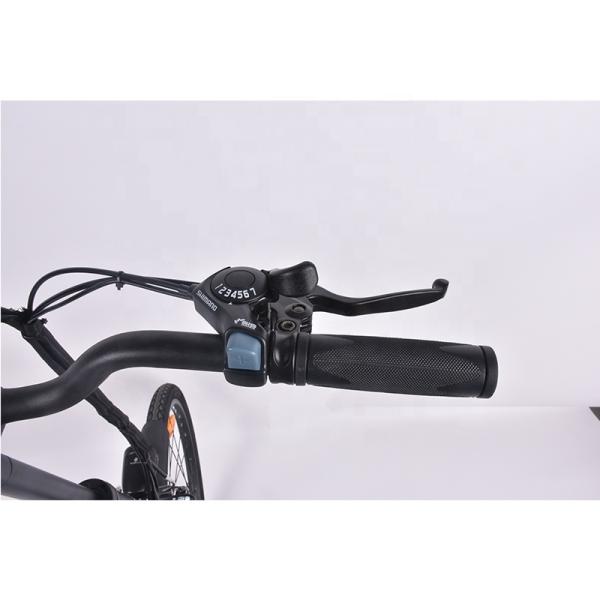 20 Inch Lightweight Foldable Electric Bike , 350w Ultra Light Ebike