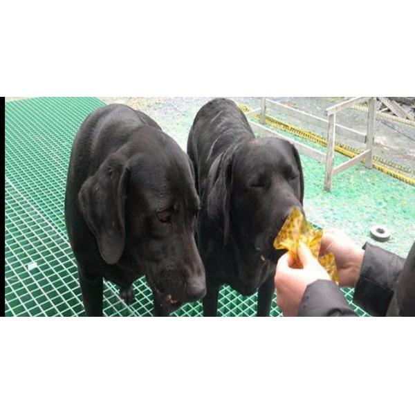 Стеклоткань пластиковое FRP отлила пол в форму клетки гриля скрежетать для размножения птицы