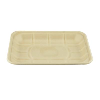 100% Biodegradable Disposable Sugarcane Bagasse Compostable Pulp Food Tray 8*6inch