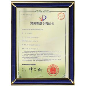 Perfect Laser (Wuhan) Co.,Ltd. Certificaciones