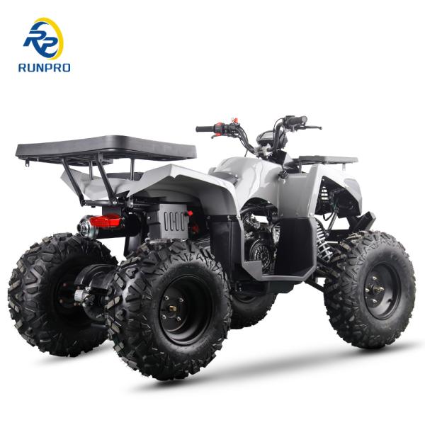 Electric Start 200CC 250CC ATV QUAD BIKE UTV 250CC Payload Capacity for Adult Riders