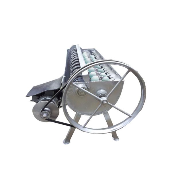 CATAQUA Automatic Clean Bucket Type Hatching Fish Eggs Hatchery Breeding Egg Hatchery Machine