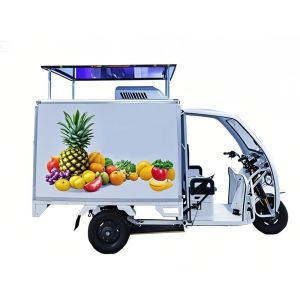 60V18A Triciclo refrigerado comercial E Trikes TECUMSEH Compresor
