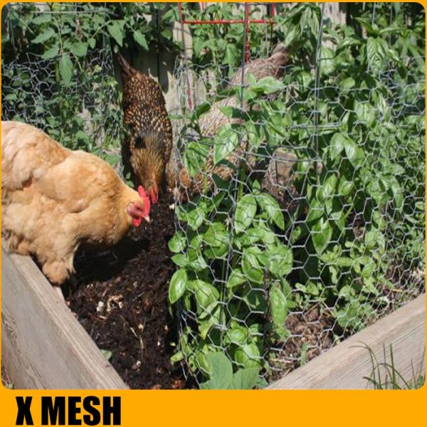 1/2 3/8 3/4 1 Galvanized Hexagonal Chicken Wire Mesh