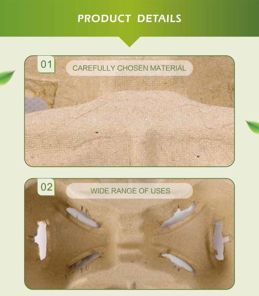 Take away 2 Cup 4 Cup paper pulp carrier Biodegradable disposable coffee paper cup holder tray