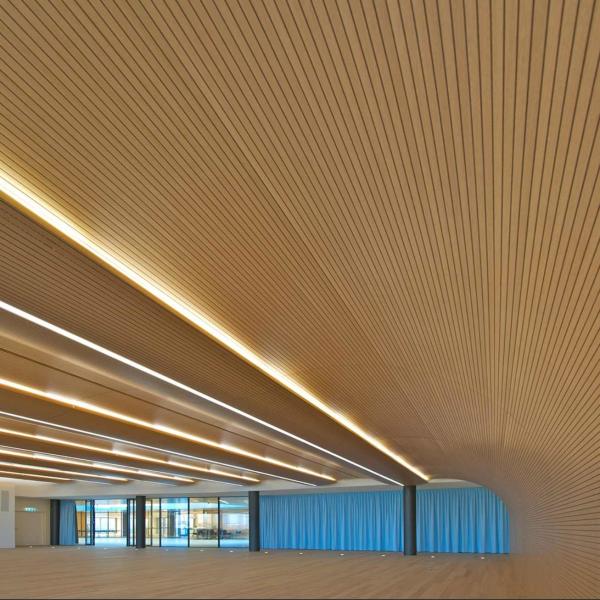 Рангированные звукозаписывающие панели для звукозаписывающей студии Огнеупорные 15 мм 18 мм 21 мм толщина