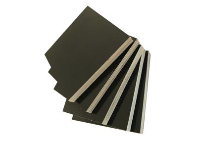 Black Film Poplar Faced Plywood 1220*2440mm Size Corrosion Resistance