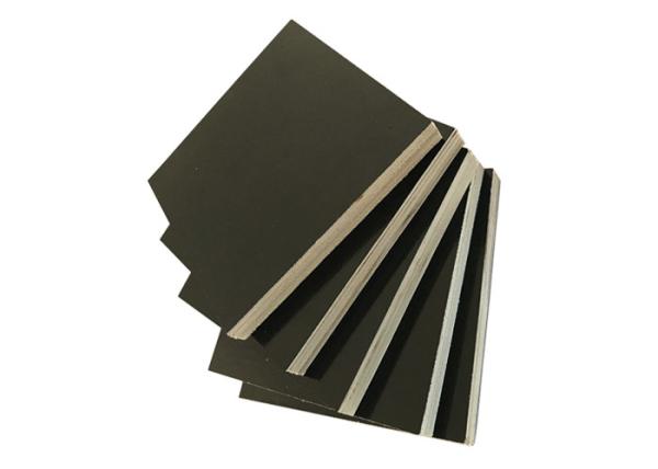 Black Film Poplar Faced Plywood 1220*2440mm Size Corrosion Resistance