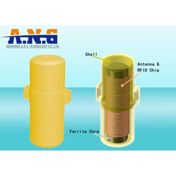 EM4305 125KHz RFID Passive Tag with Chip and Ferrite Core For Engineering pipeline