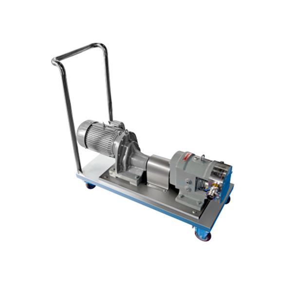 Косметический насос ротора разрядки насоса лепестка нержавеющей стали завода