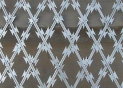 Fence Straight Razor Wire