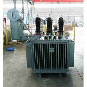 Customized Oil Immersed Power Transformer 11kV 33kV Industrial Distribution Transformer Supplier