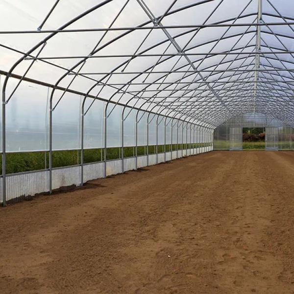 30m Length Single Span Plastic Sheeting Film Greenhouse For Tomato Cultivation