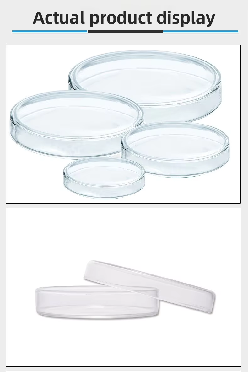 Glass Petri Dishes 90mm 60mm 75mm 120mm 150mm Cell Culture High Borosilicate Flat Dishes Model Fifty Jiangsu Origin