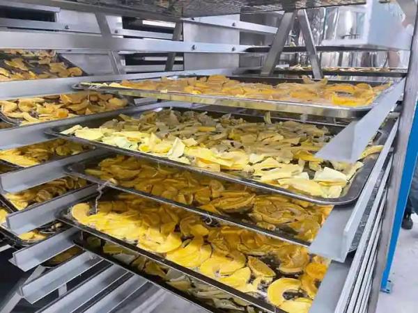 Electricity Heated Pharmaceutical Dryers For Pharmaceutical And Chemical Industries
