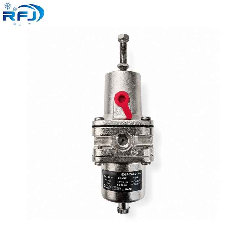 B38P-244-B1MA High Flow Stainless Steel Filter Regulator