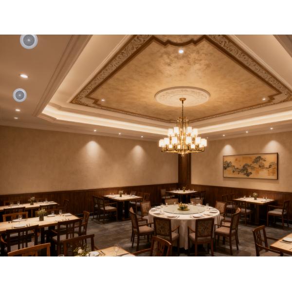 CL-806 Power 10W Surface Mount Ceiling Speaker High Quality ABS Sound PA System Speaker