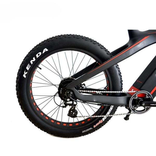 48V Electric Carbon Fiber Bike with 750W or 1000W Brushless Motor 26