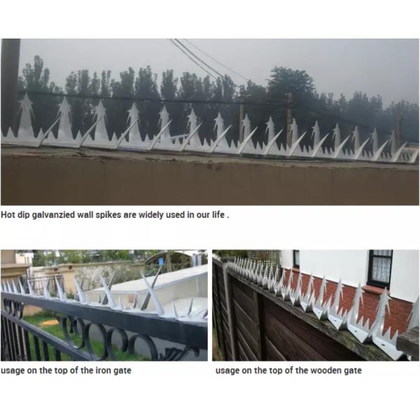 Galvanized Steel Razor Barbed Wire Anti Climb Wall Spikes Wooden Box Packing