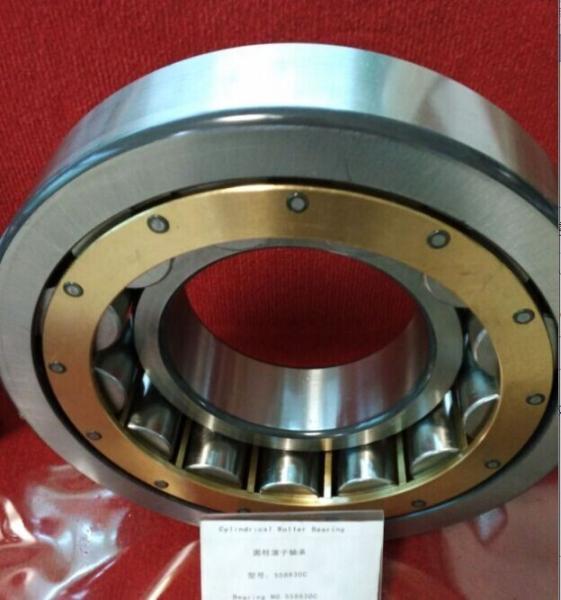 NSK Eccentric Bearing RN309M