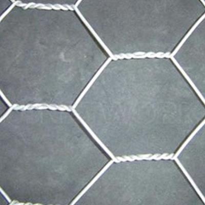 Hot Sale PVC Coated Galvanized Hexagonal Iron Wire Mesh