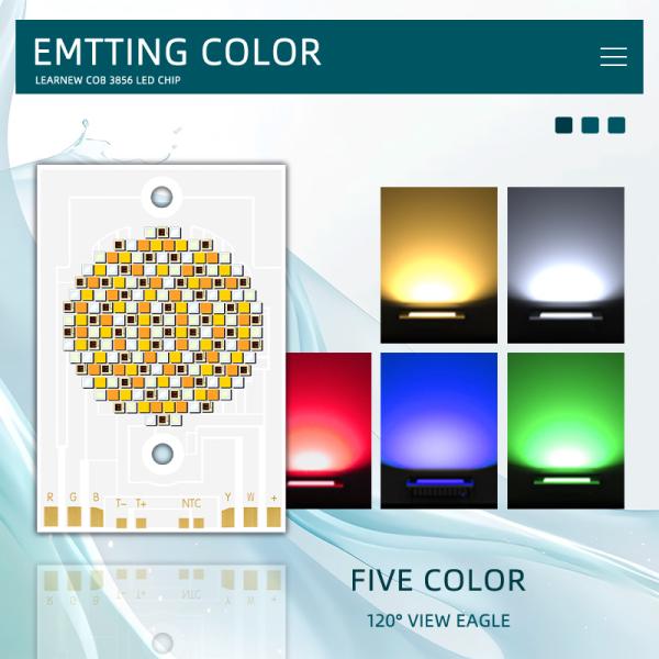 5-in-1 RGBWW COB LED Chip 300W 500W 460/520/620NM for Stage Lighting and DIY Projects