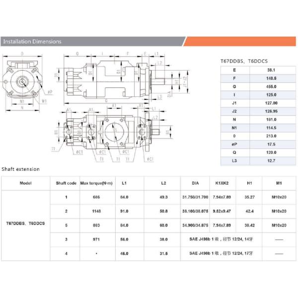 Triple Cartridges Black Hydraulic Cylinder Pump For Plastic Machinery