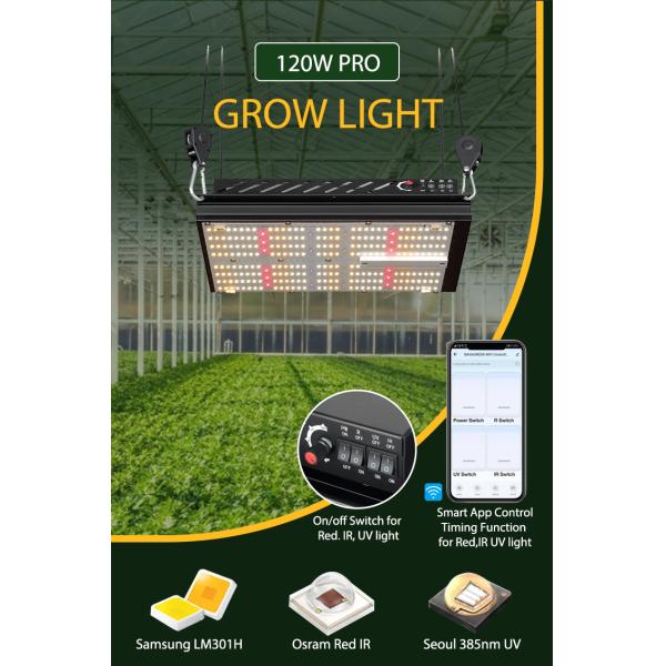 СИД доски Qb288 LM301H Dimmable BAVAGREEN 120W Кванта растет светлым