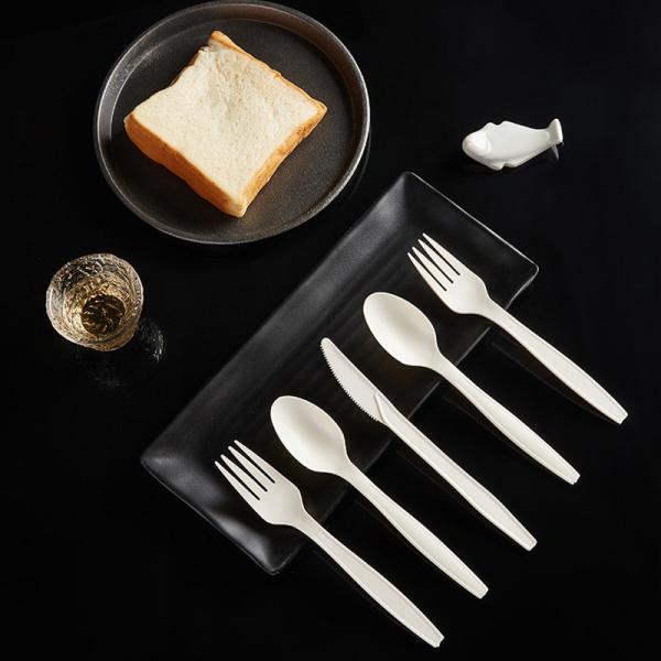 Disposable Tableware Knife Spoon And Fork Restaurant Takeaway