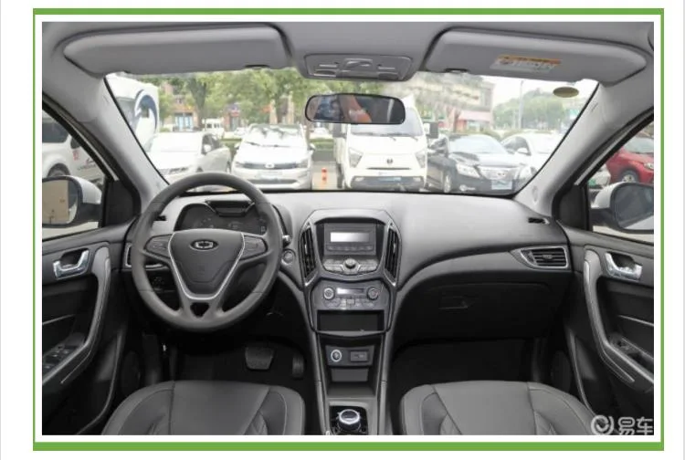 Raysince Factory Price High Speed Electric Car China Supplier Hot Sales New Energy Car with Four Seats and and Five Door