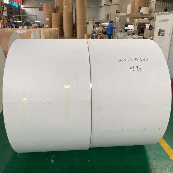 Placa de papel do copo do papel de embalagem da matéria prima 300gsm do copo de chá do OEM