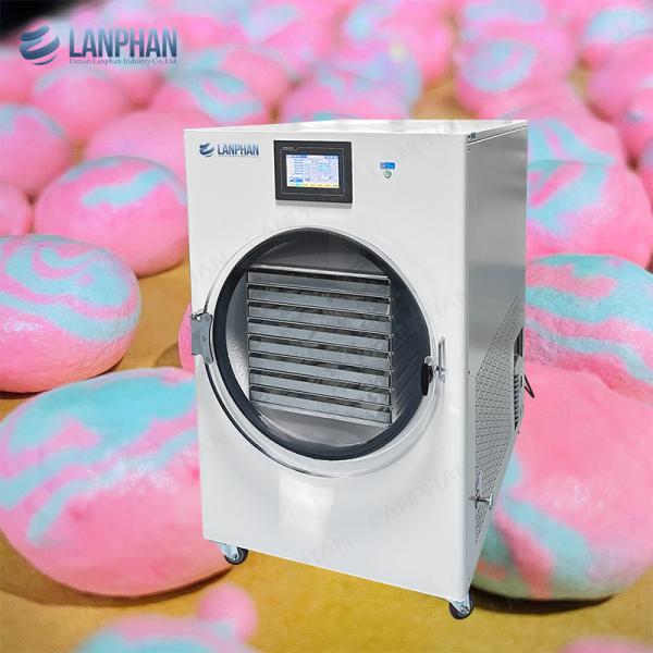 Freeze Drying Equipment Household Freeze Dryer Machine Freeze Dry Machine For Home