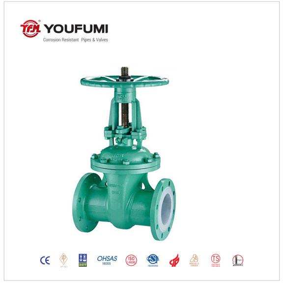 ANSI Double Disc Gate Valve