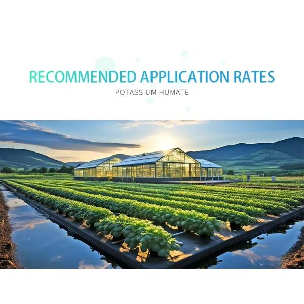 Potassium Humate Flakes Shiny 100% Water Solubility Fertilizer Super Fulvic Acid