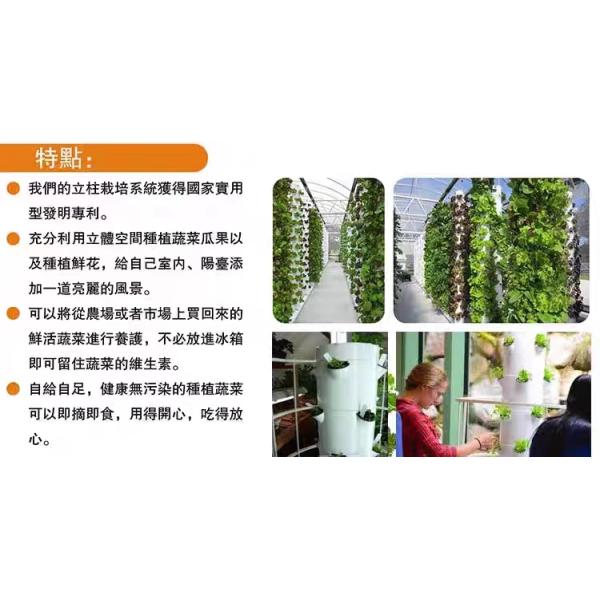 Balcony Aeroponic Growing Towers Hydroponics Vertical Garden Systems Hydroponic Systems indoor Pineapple Planting Type  Vertical