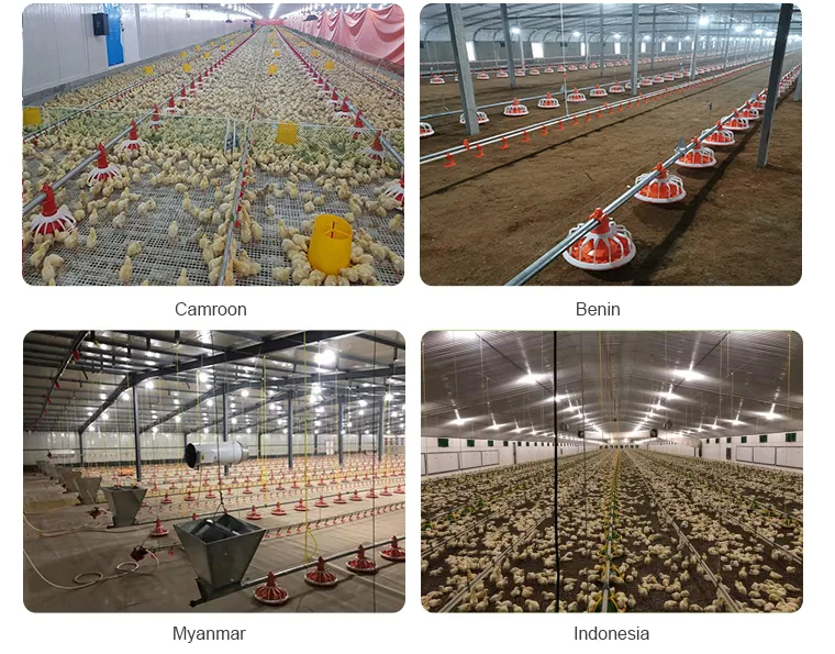 Broiler Farming Floor Raising System with Automatic Feeding Pans and Corrosion-Resistant Nipple Drinkers for Humidity Control