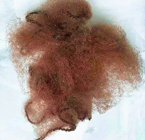 Redes disponibles de nylon de Mesh Light/de pelo de las pelucas pesadas invisibles